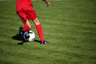 星空体育-足球场馆数字化管理平台正式上线，提升运营效率，足球场管理系统app